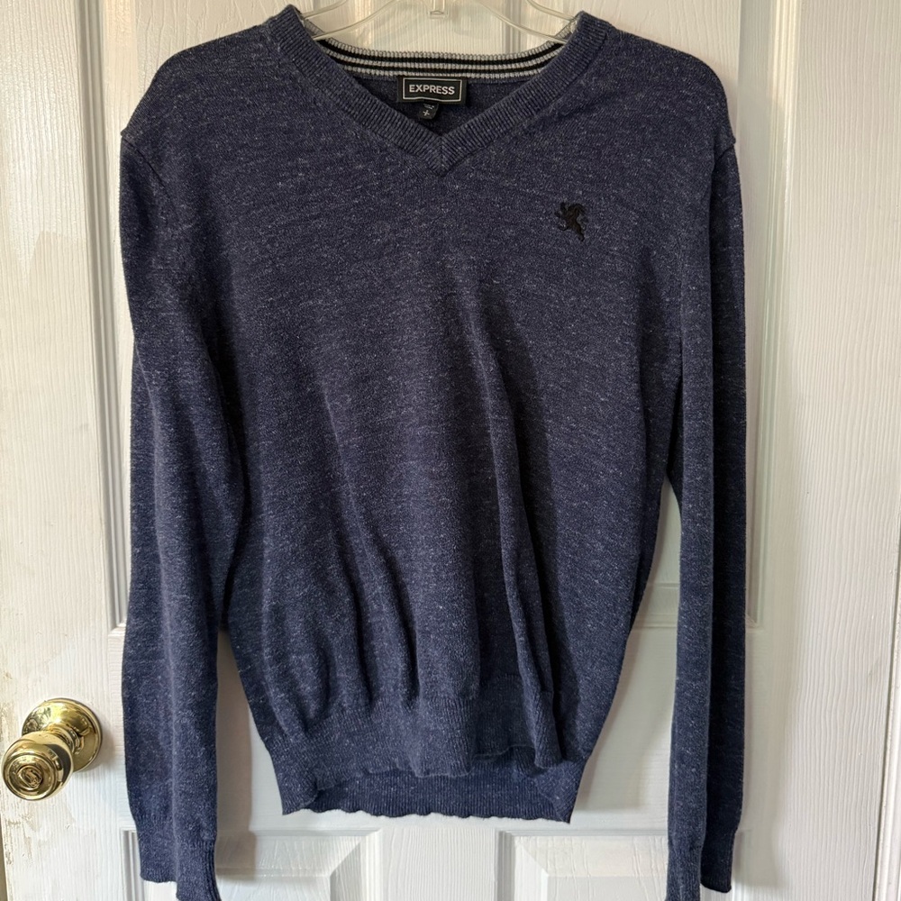 Express Blue V-Neck Sweater Knitwear